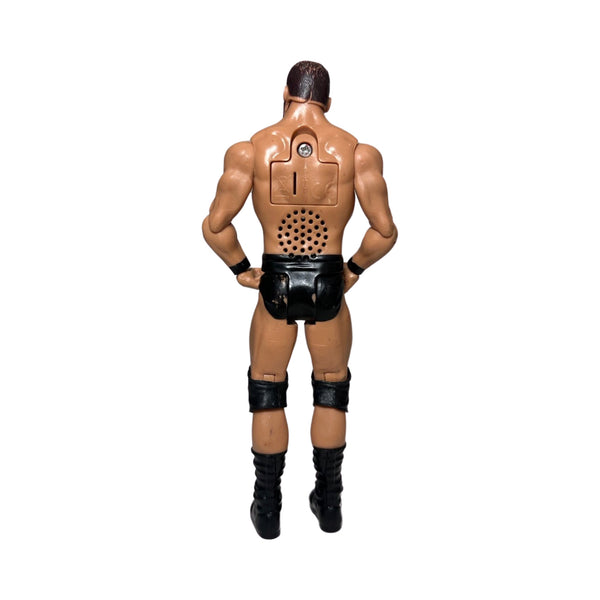 2017 WWE Bobby Roode Mattel Wrestling Action Figure