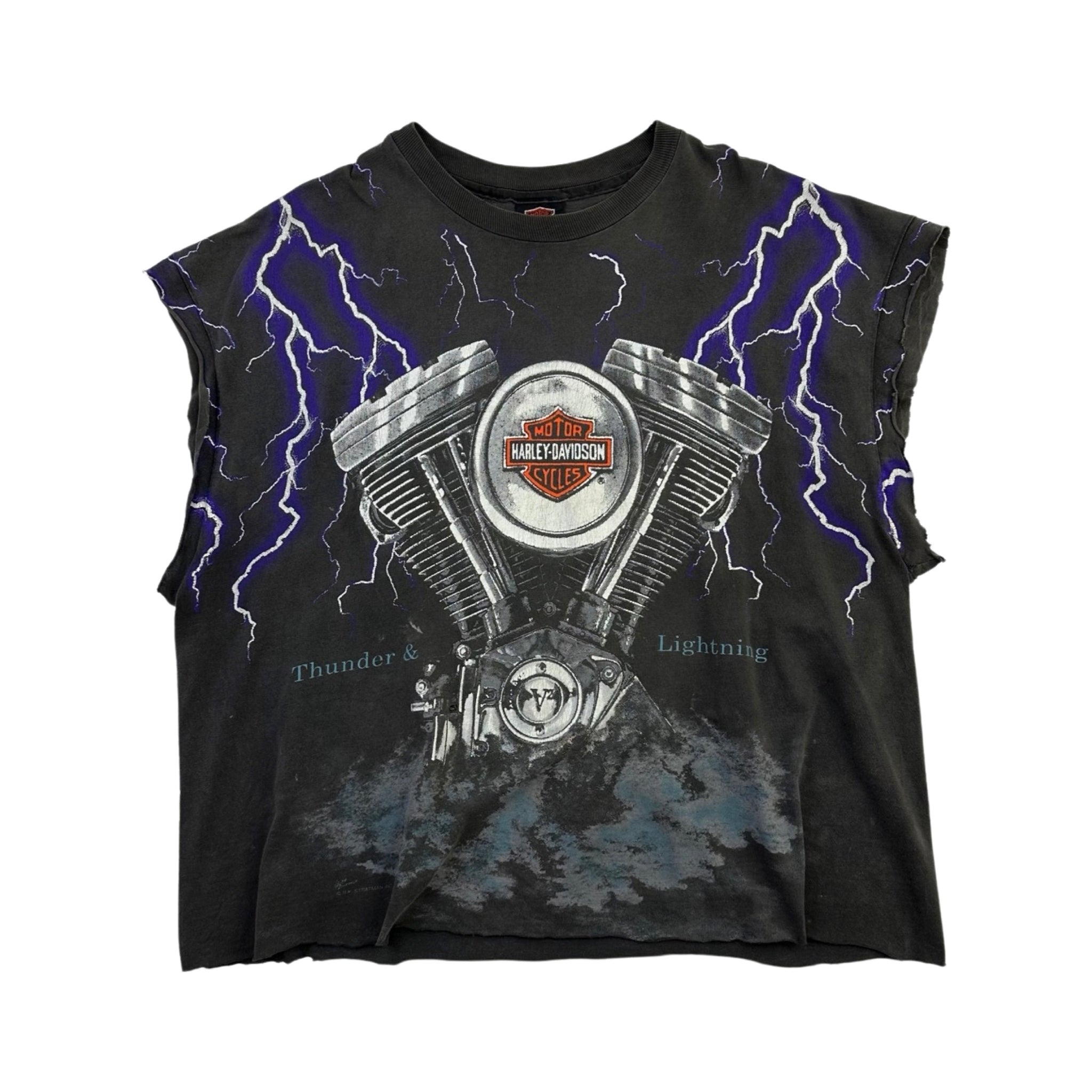 XL HARLEY-DAVIDSON LIGHTNING 袖プリント ロンT XL HARLEY-DAVIDSON