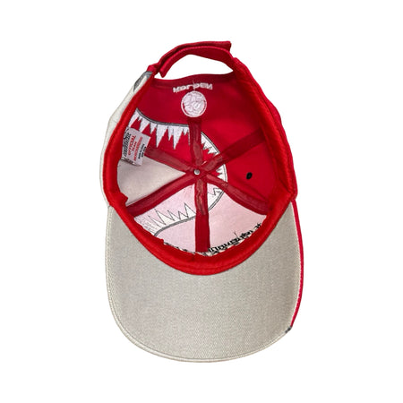 Team Brock Holden Racing Cap